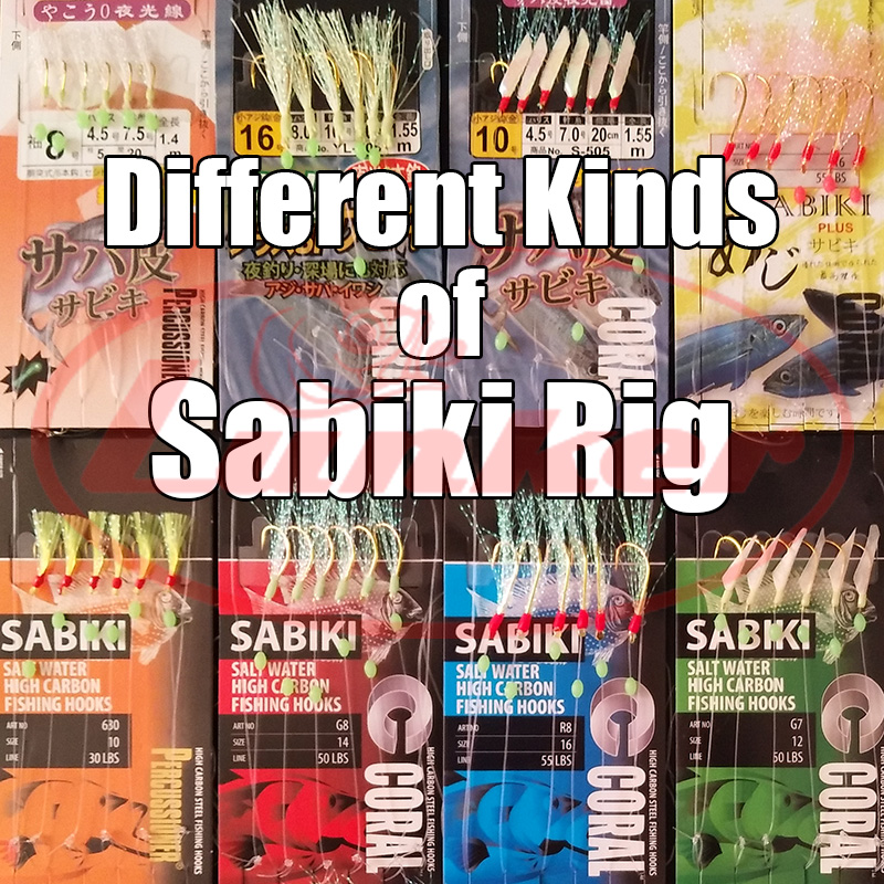 Lunker sabiki rig haken lichtg - Quality Fishing Equipment recensie en prijs